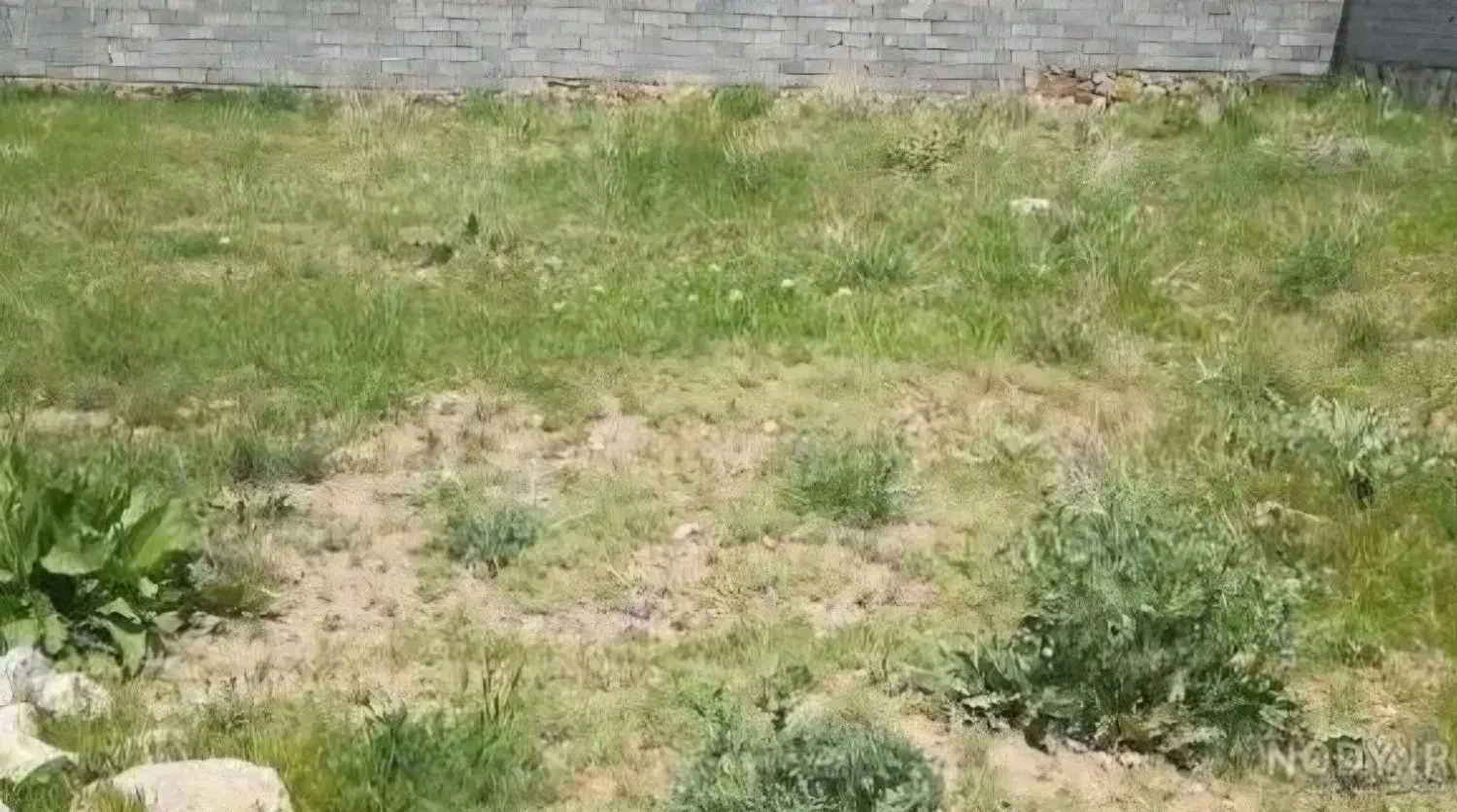 زمین ساحلی دریای خزر