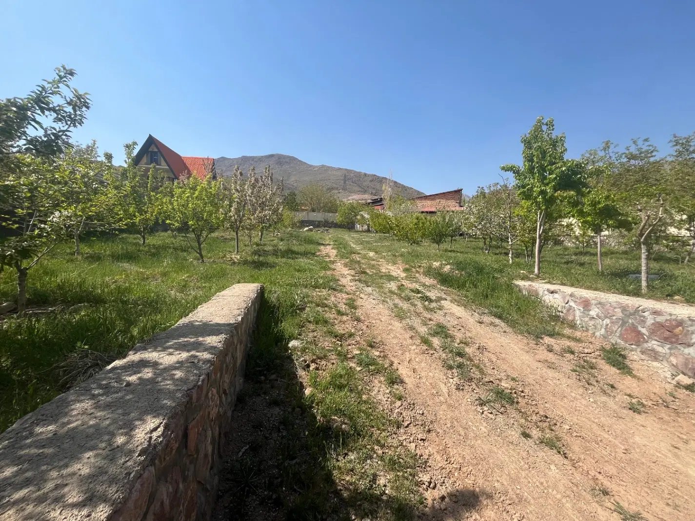 باغ ۱۵۰۰ متری در ولیان کردان