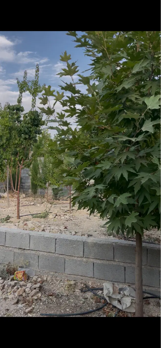 معاوضه زمین باغشهری صدرا