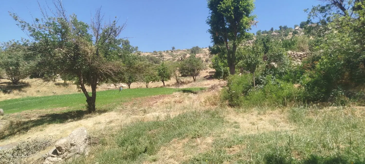 فروش زمین کشاورزی