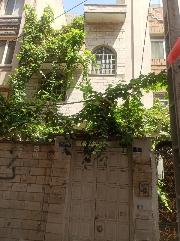 سوئیت