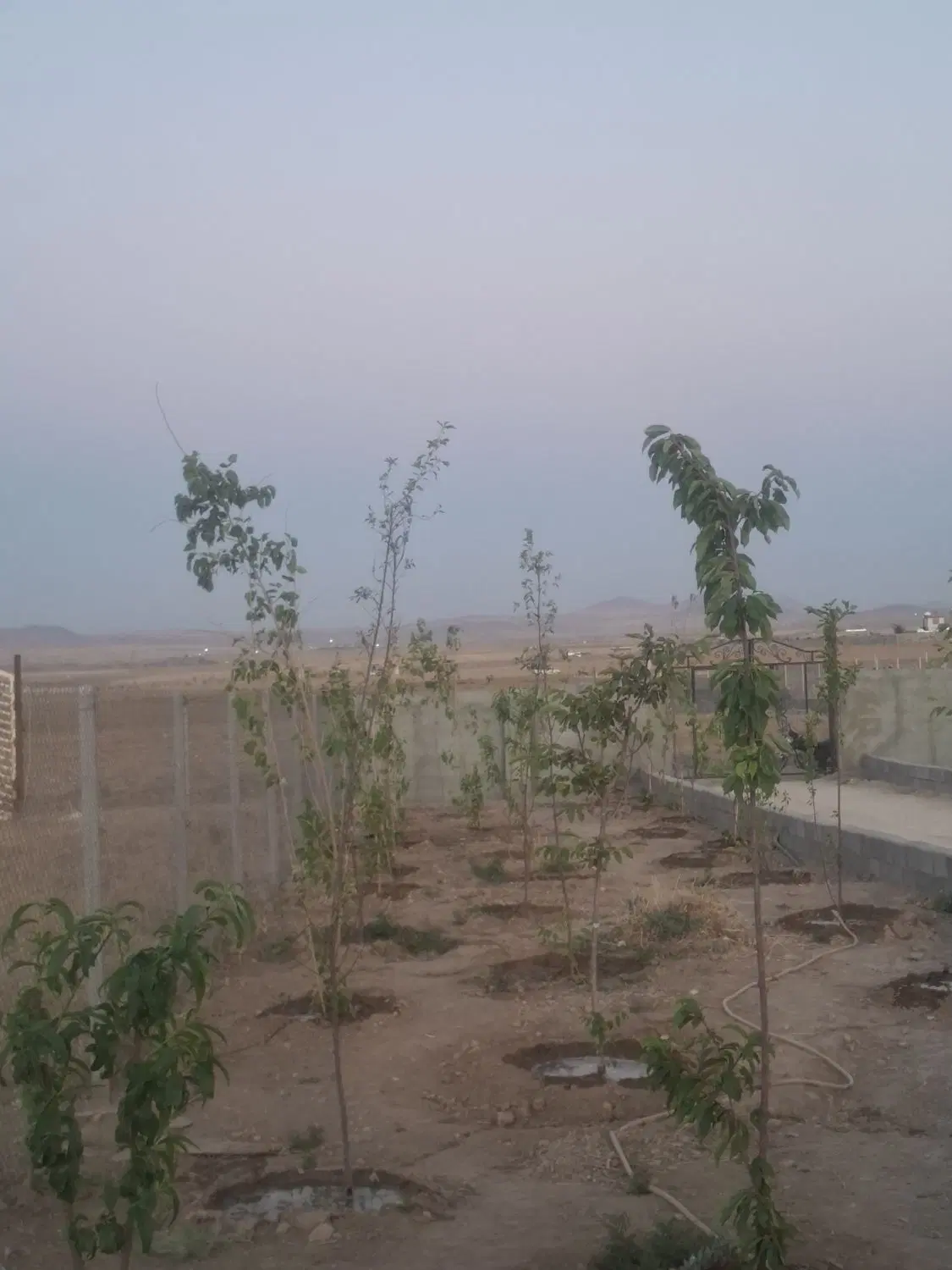 باغ ۱۰۵۰ متری