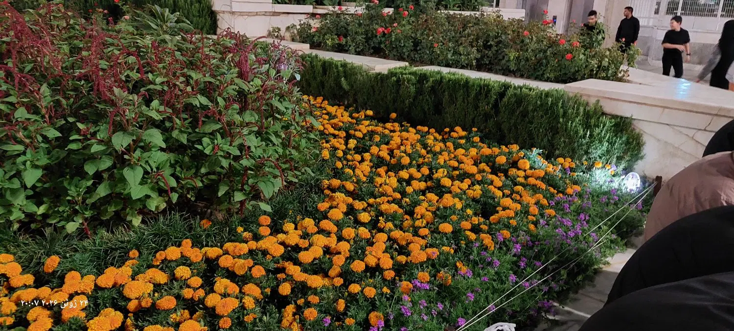 فروش زمین مسکونی