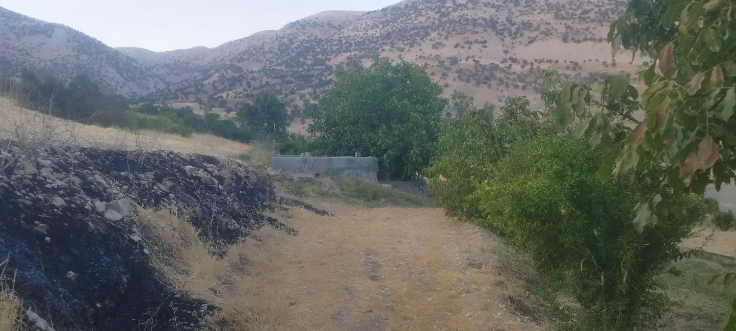 زمین کشاورزی