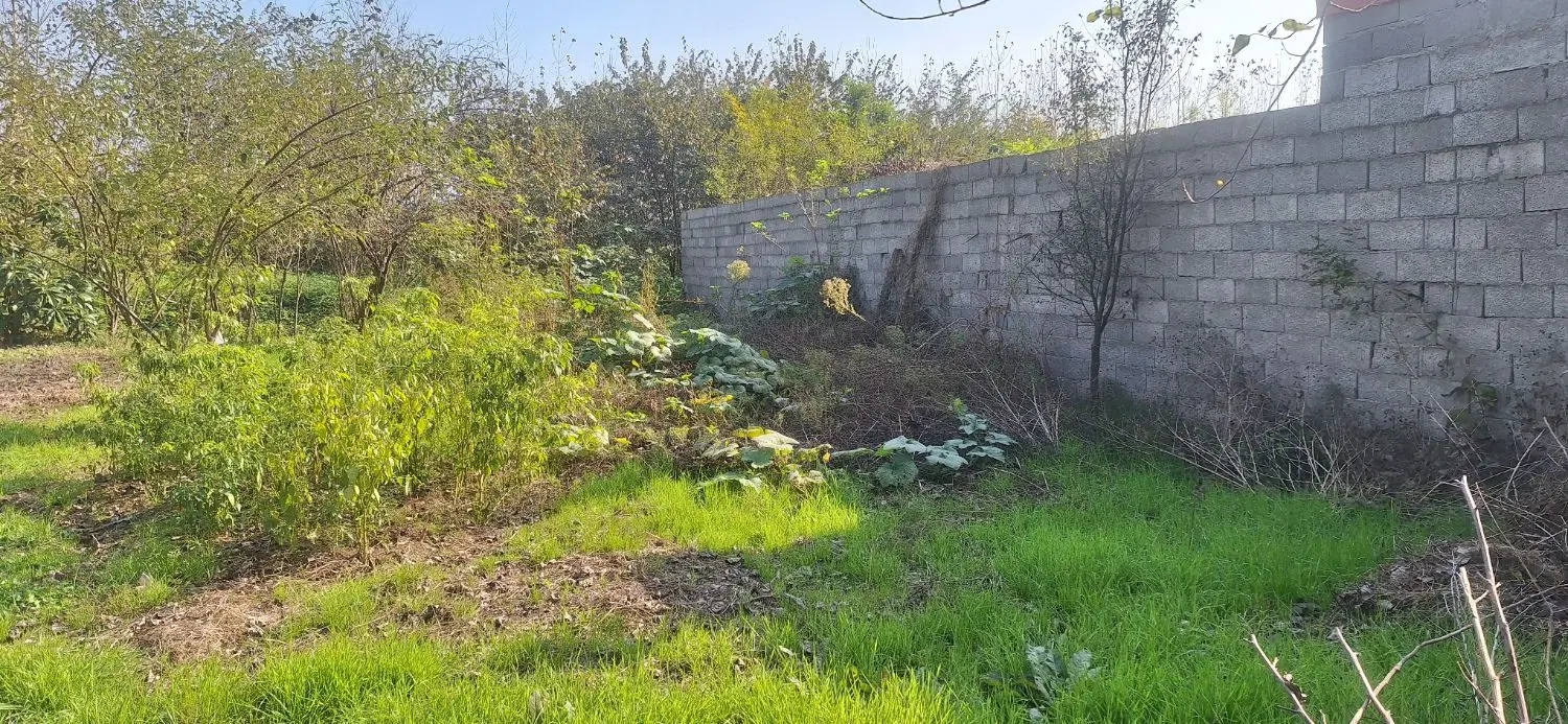 فروش زمینی