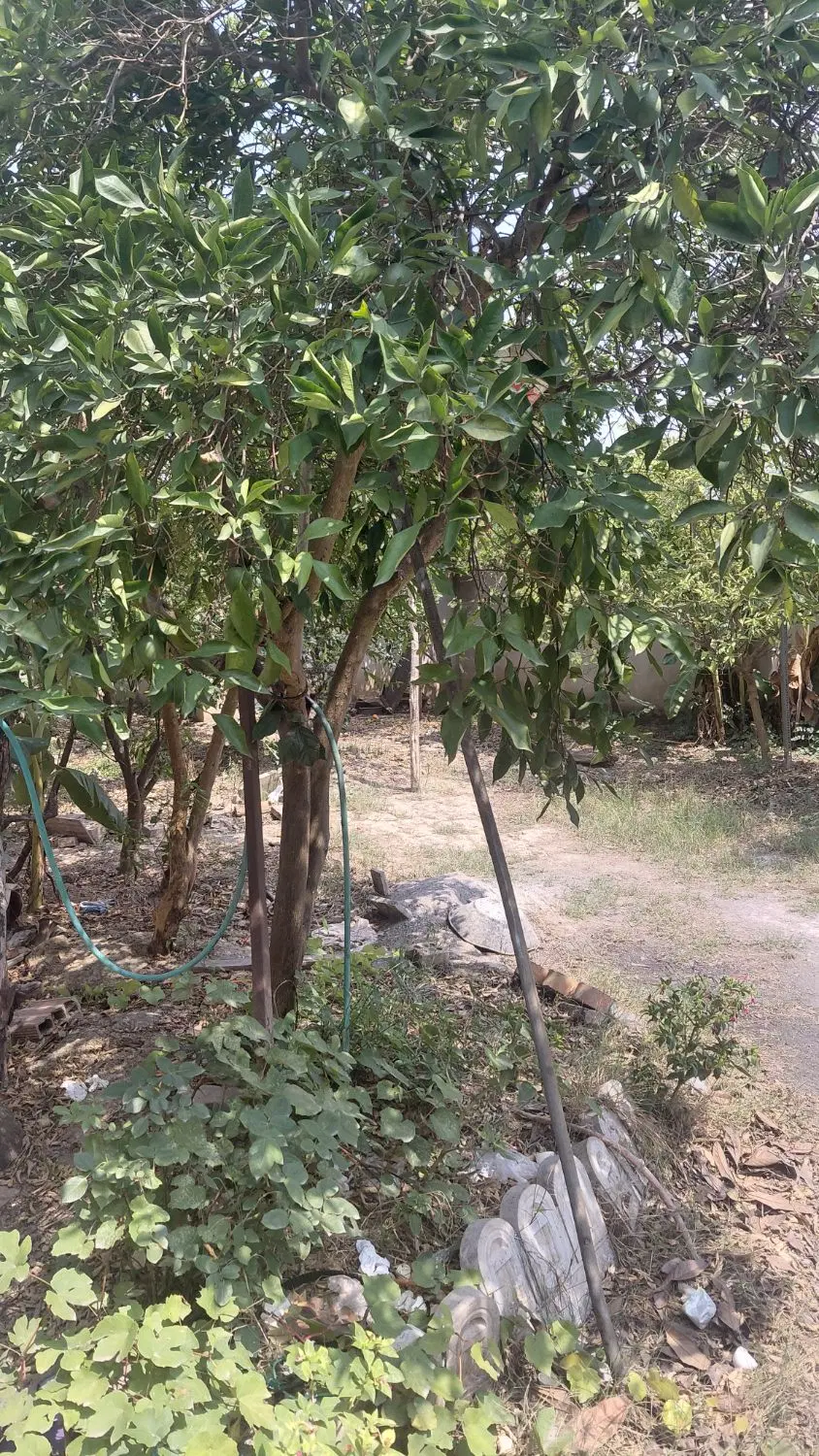 فروش خانه و زمین سند جدا