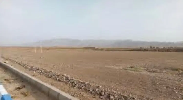 زمین زراعی