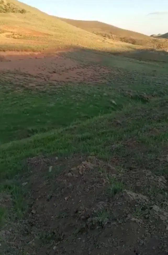 2000متر زمین در روستای زرشک