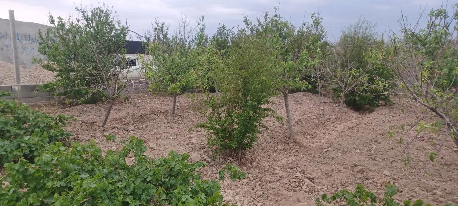 زمین تجاری و مسکونی