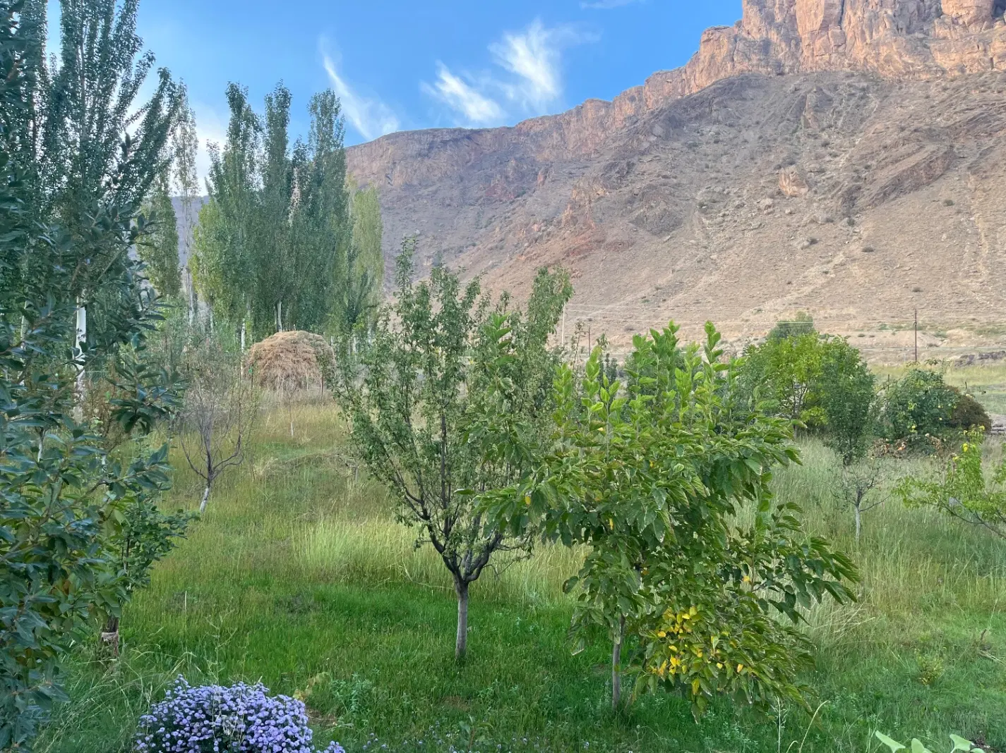 باغ در سه راهه هندور