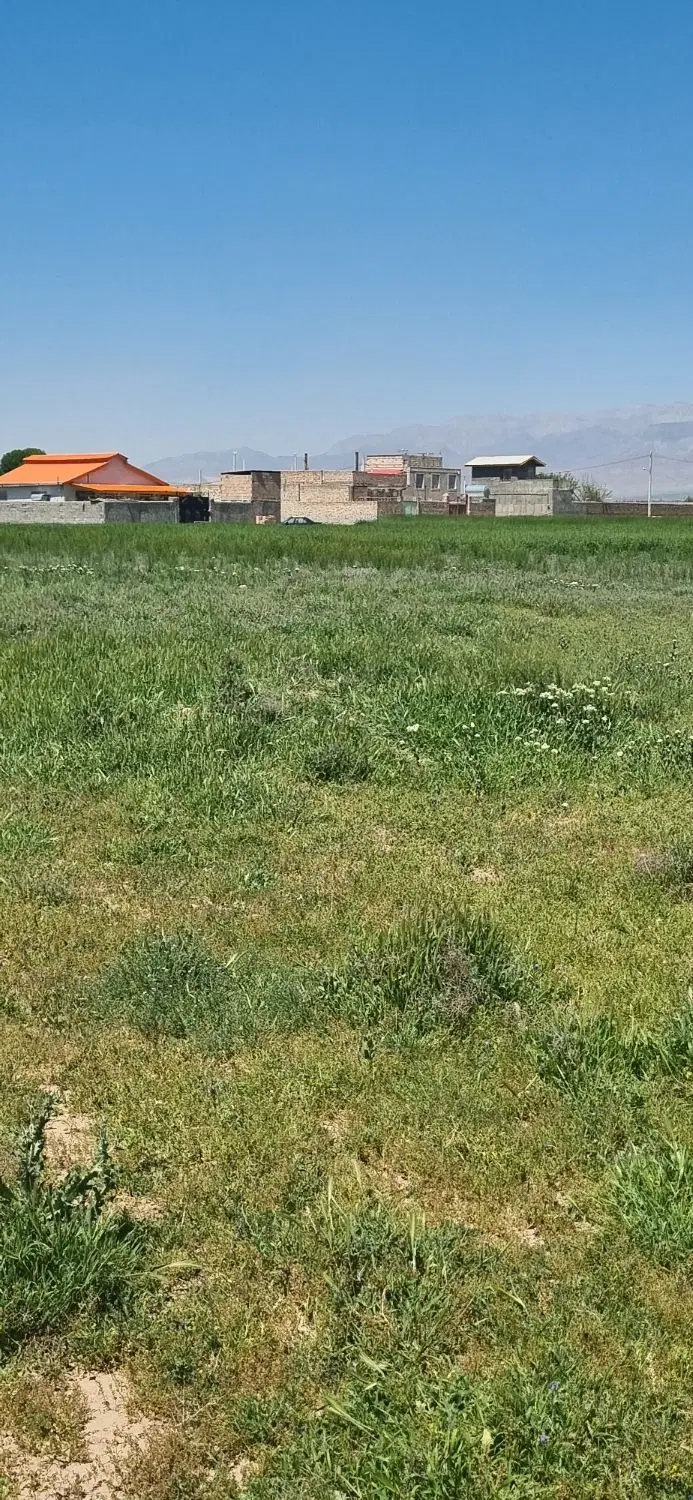 زمین کشاورزی
