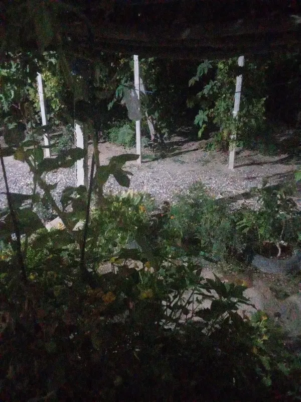 فروش خانه