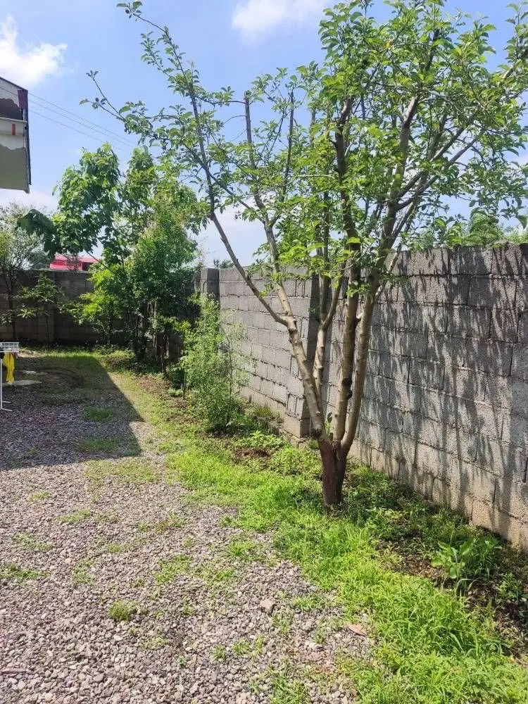 فروش خانه ویلایی خارج شهر رشت