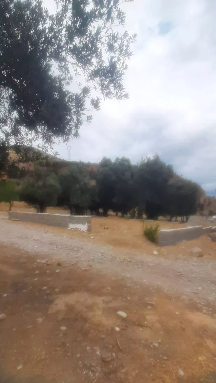 زمین مسکونی  محصور