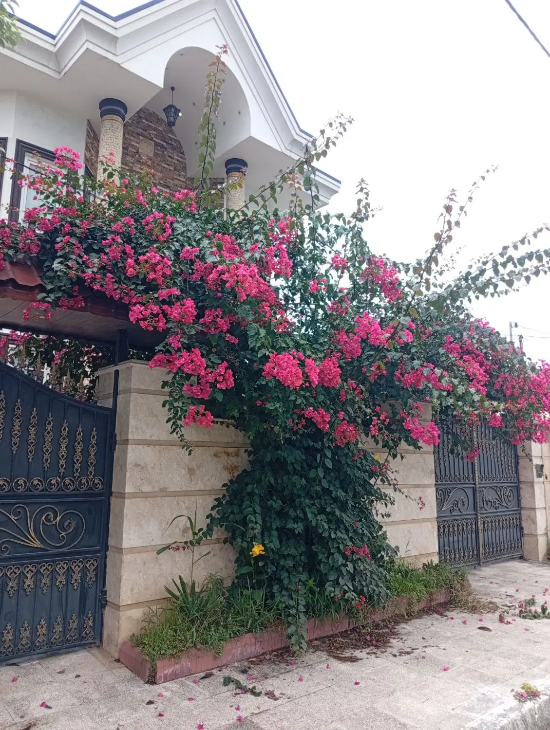 واحد نودمتری