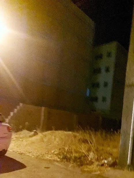 پیش فروش