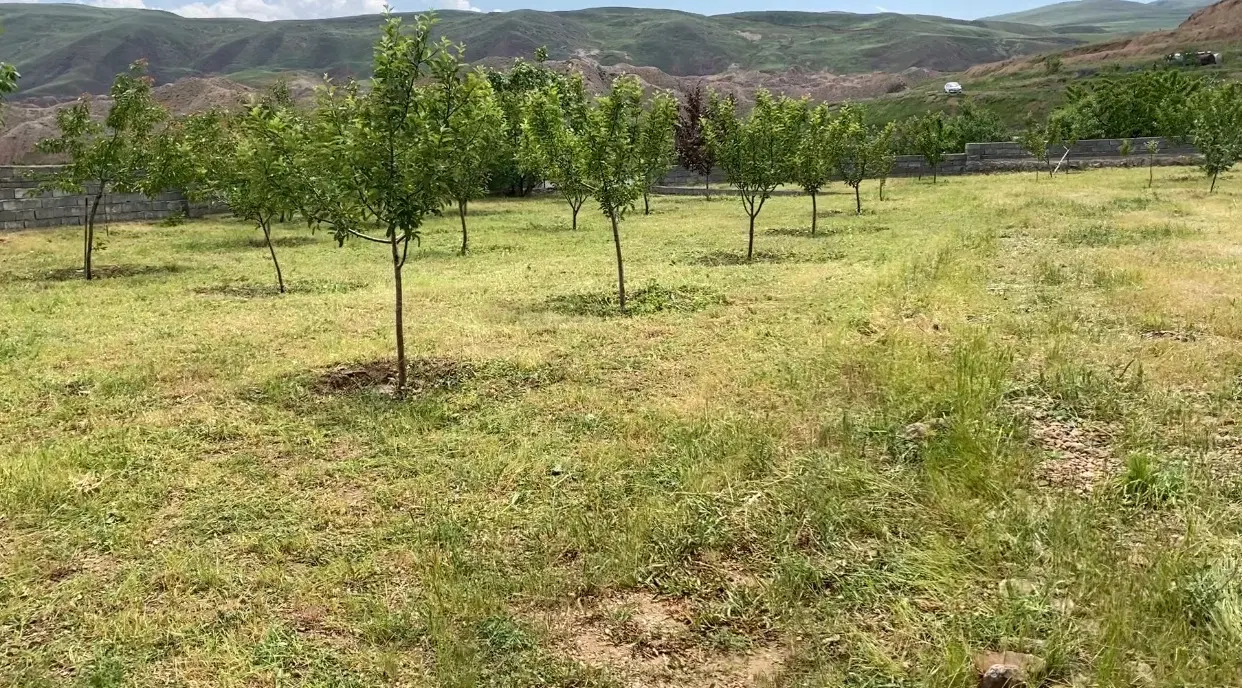 باغ ۳۰۰۰ متری در سیوان