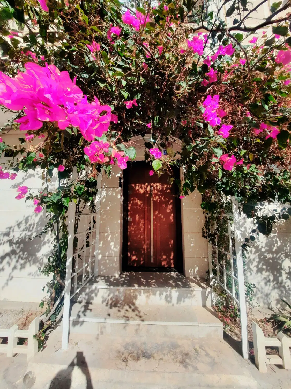 اجاره روزانه و ماهانه مبله