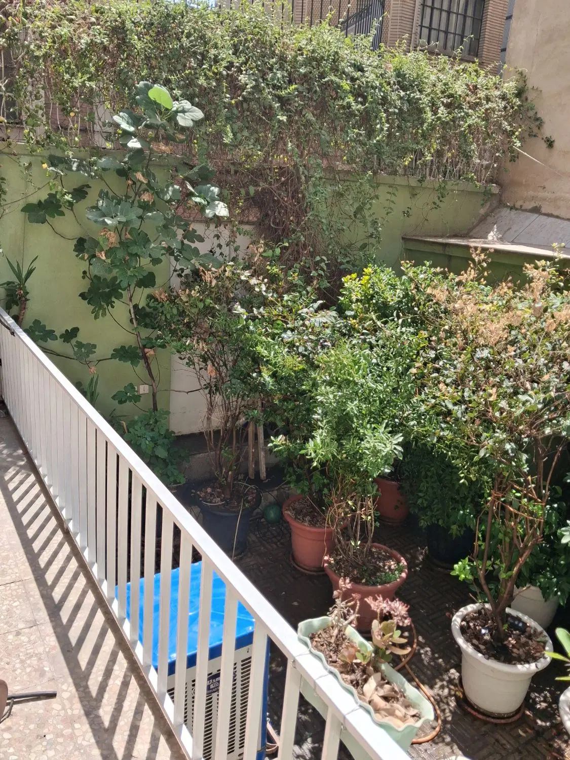 آپارتمان ، رهن ، با حیاط و بالکن