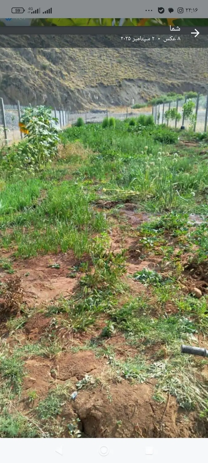 زمین کشاورزی فنش کشیده