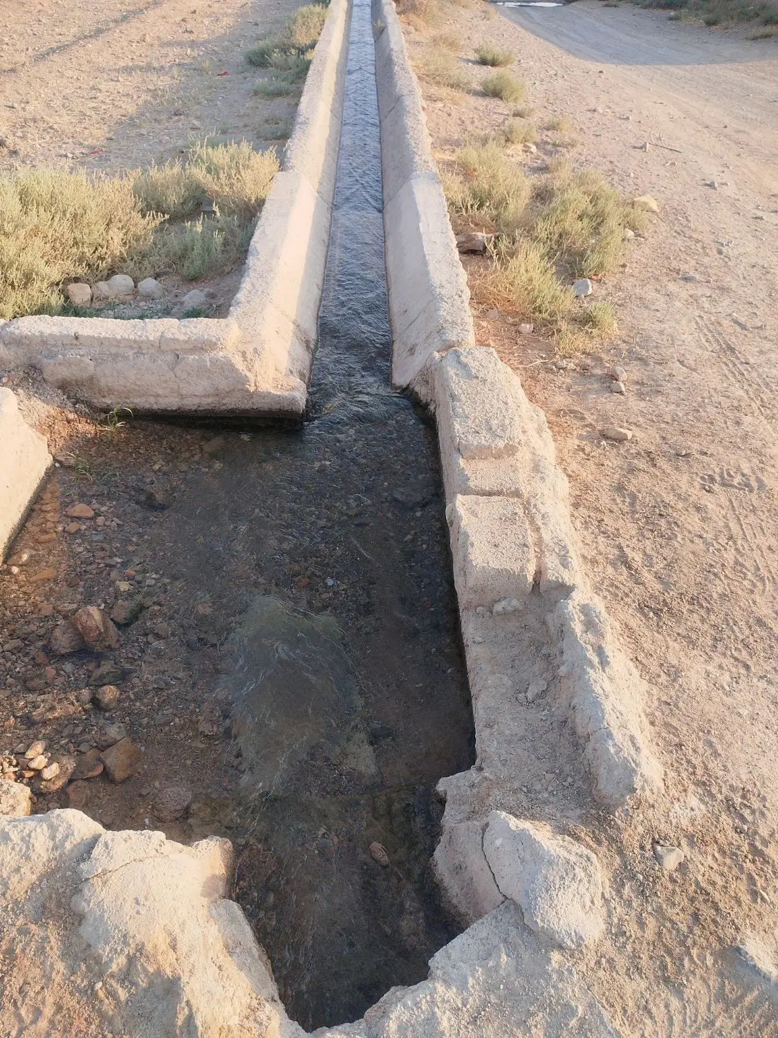 فروش زمین کشاورزی همراه با آب مناسب سرمایه گذاری