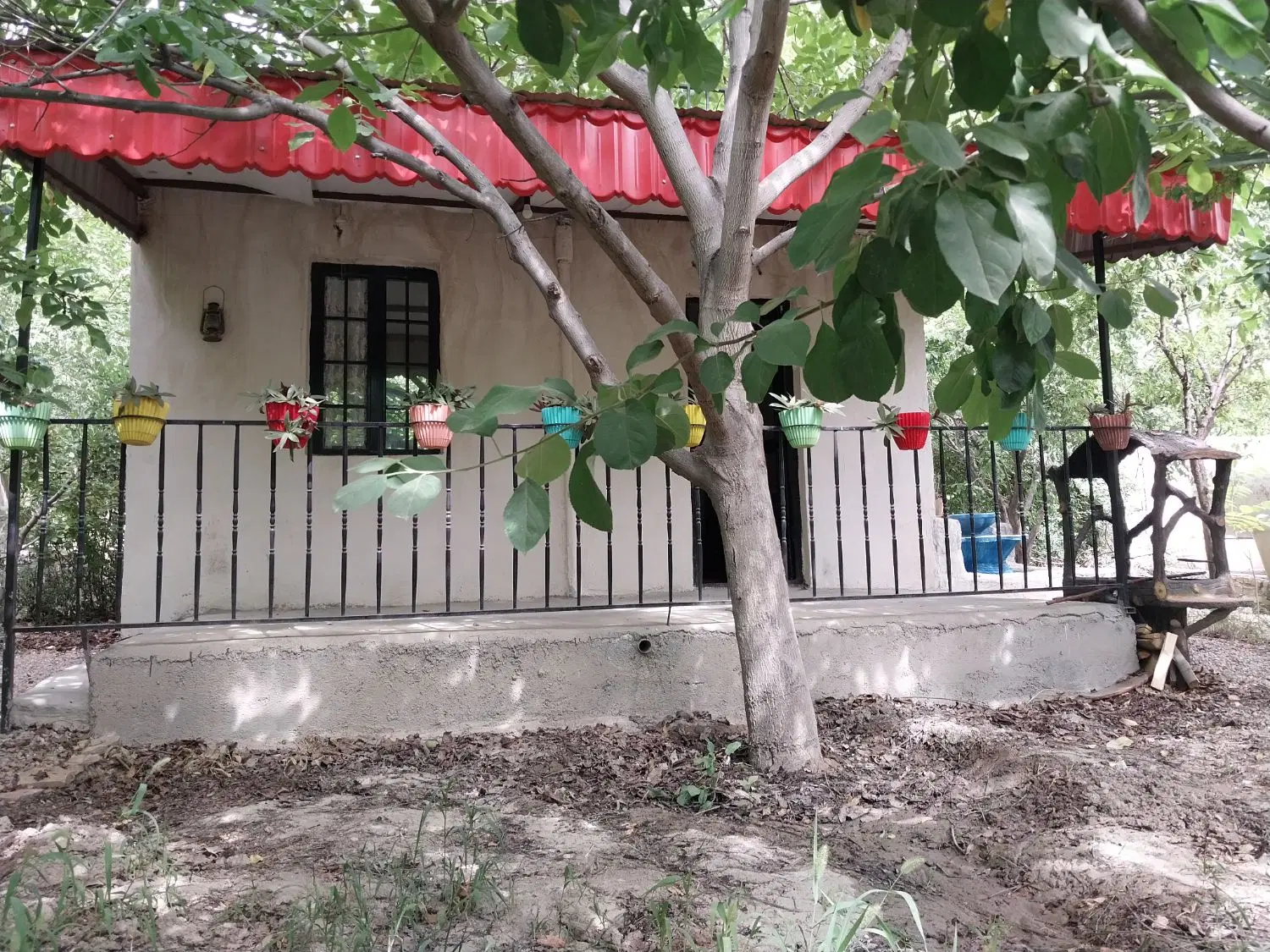 باغ وویلانقلی با شناسنامه معتبر