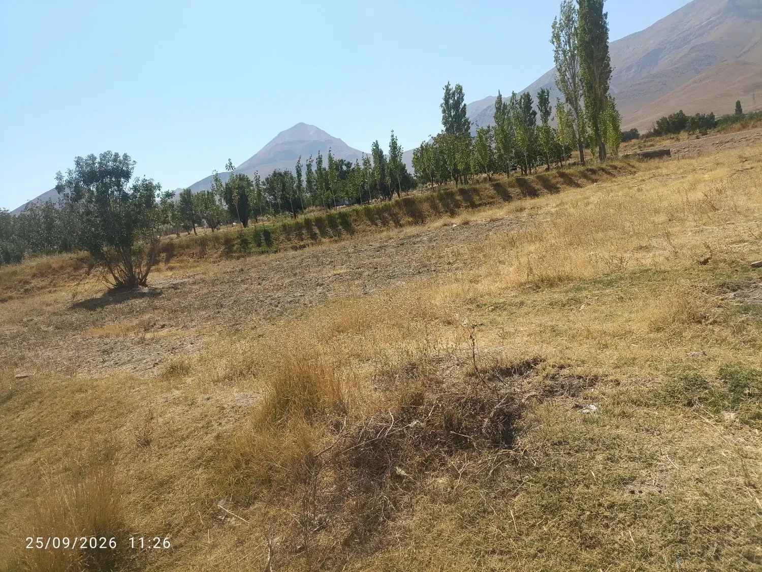 زمین کشاورزی
