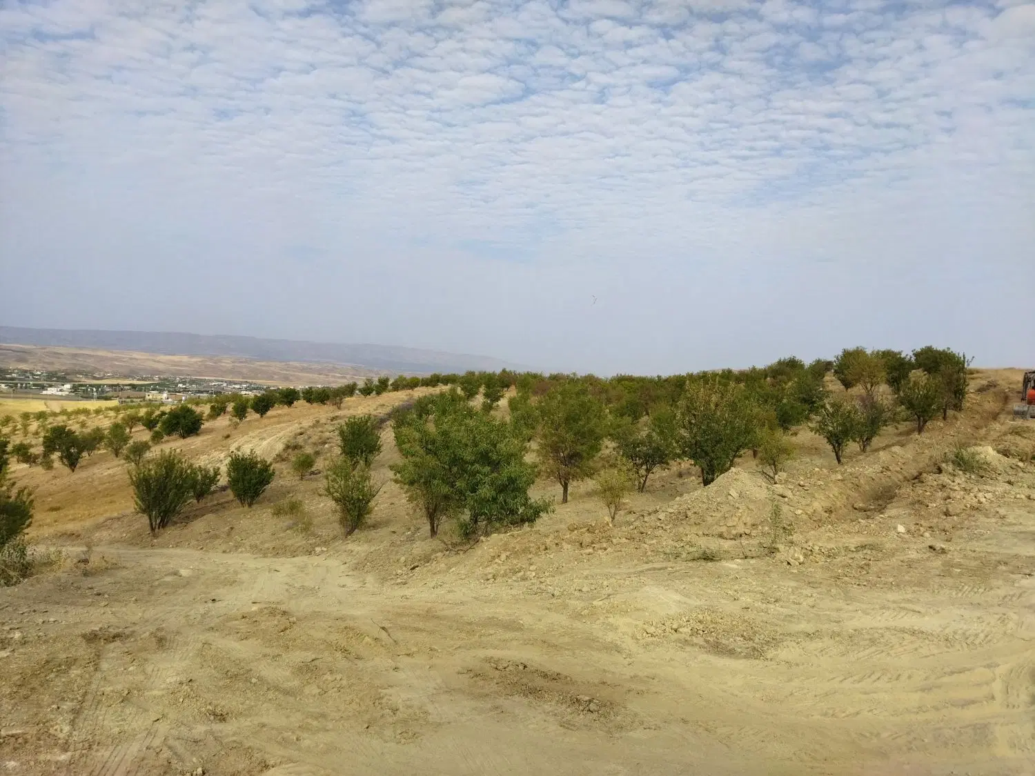 زمین باغ شهری 2000 متری