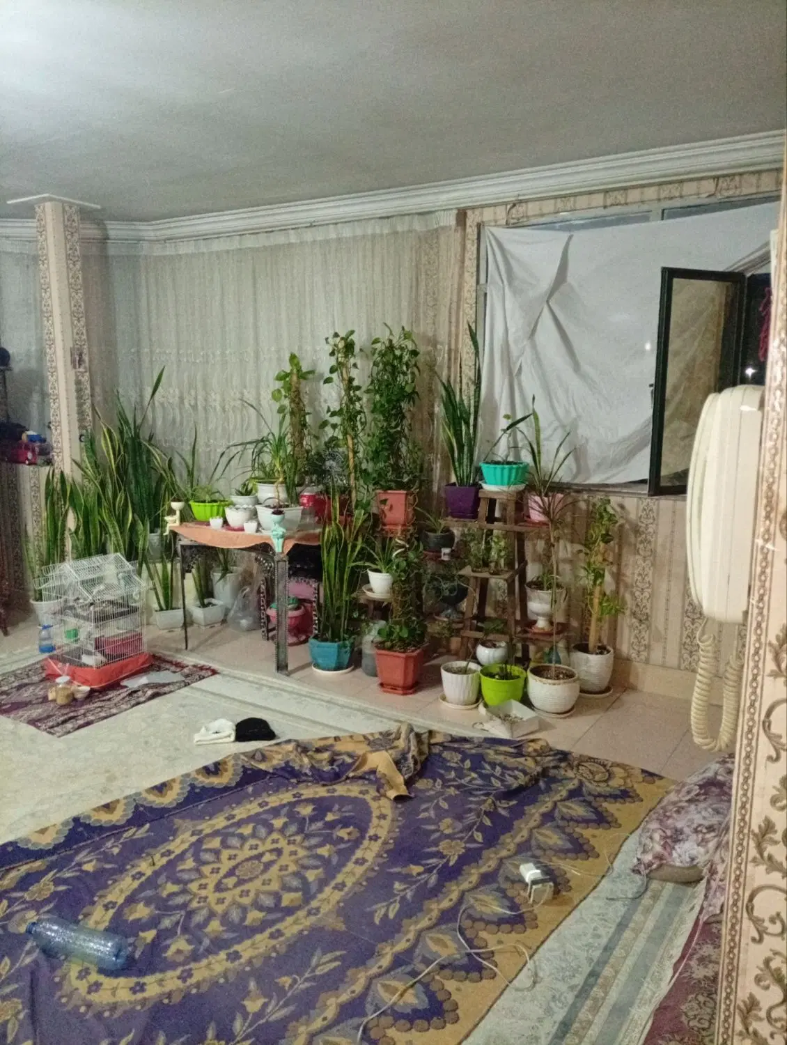 طبقه اول حاشیه فرجی یک خواب ۷۵متر