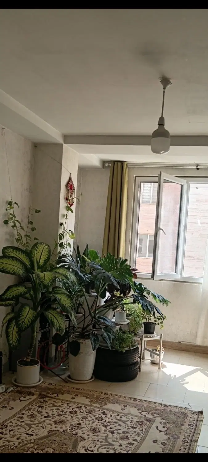 یک واحد ۶۰ متری برای رهن و اجاره