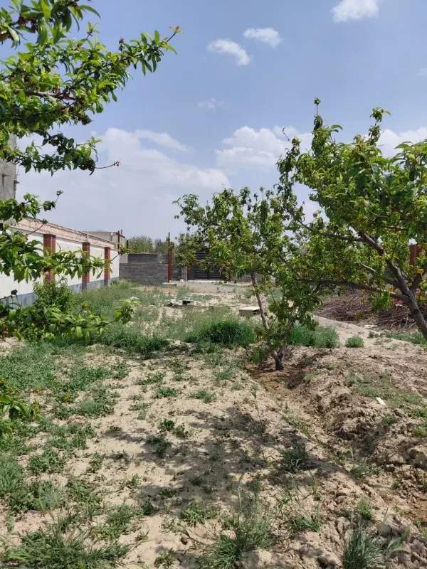 باغچه ۶۰۰ متری