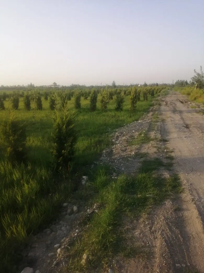 فروش زمین مناسب سرمایه گذاری