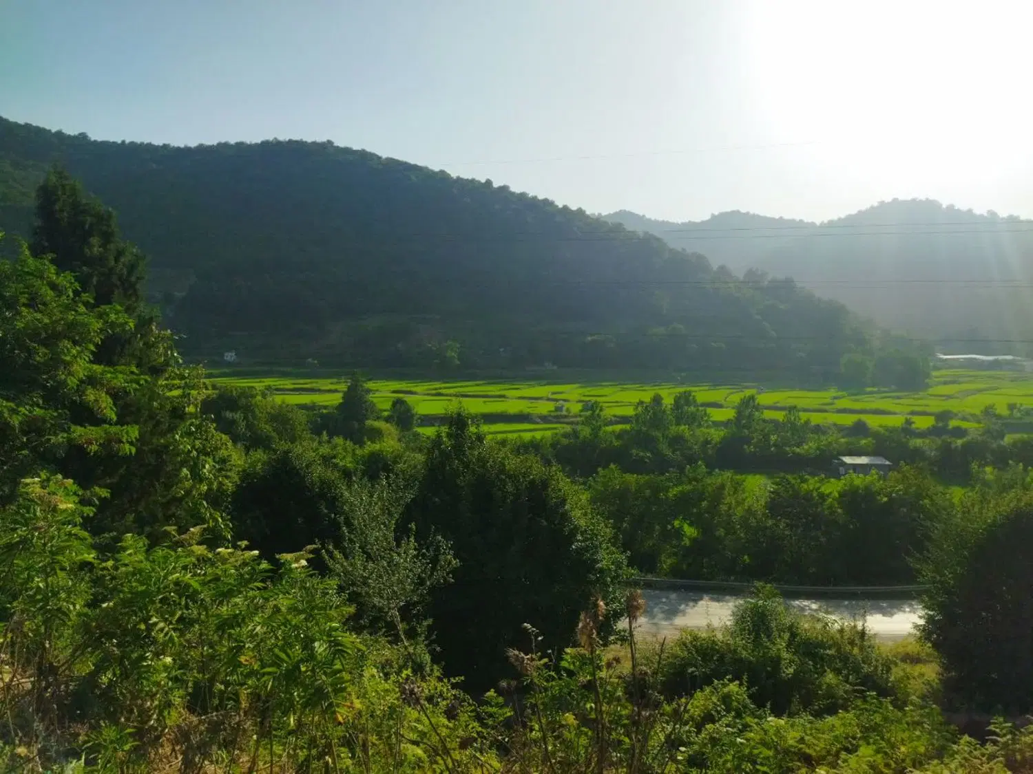 زمین شمال