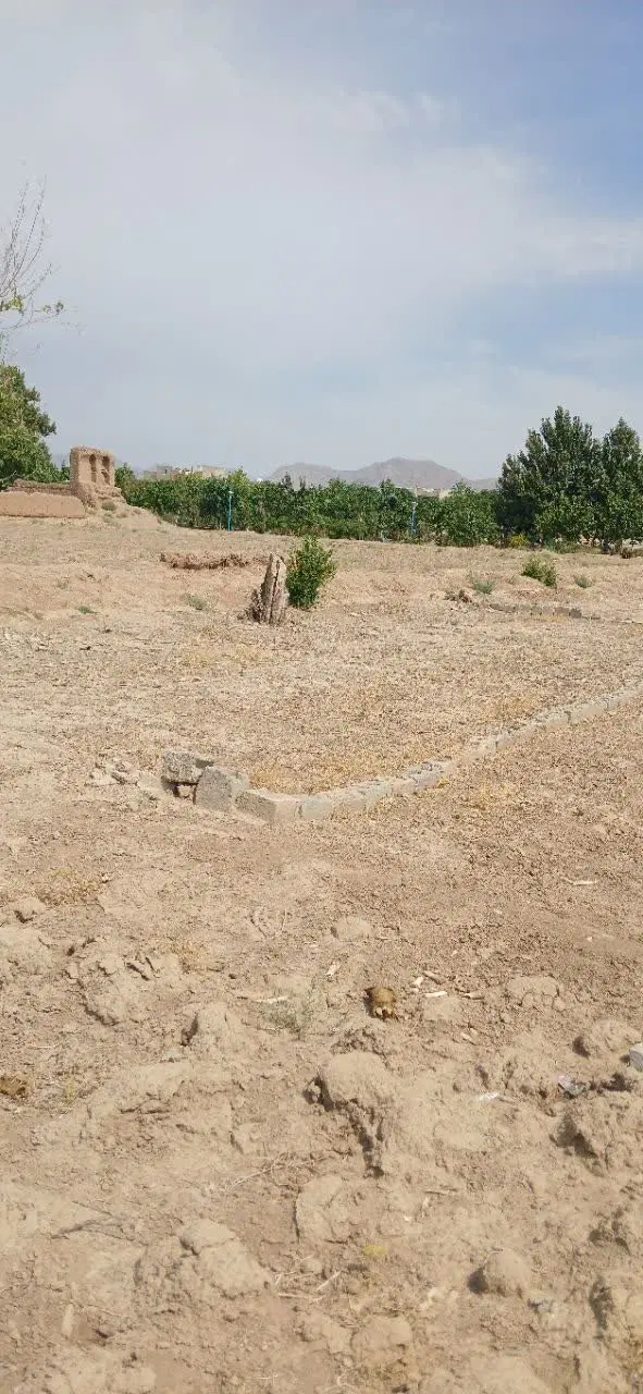 زمین جاخونه