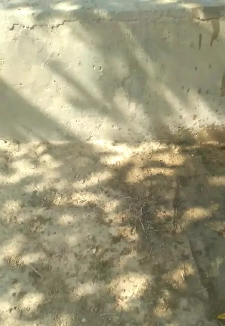 ۳۰۰ متر زمین خوش قواره