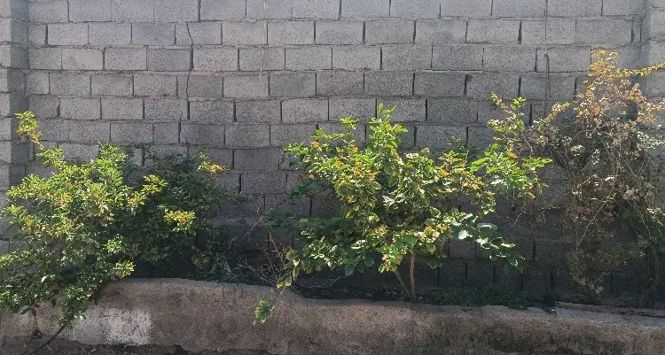 فروش خانه