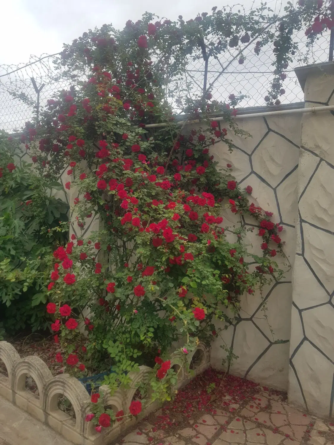 باغ ویلا ۹۴۶متری سند دار