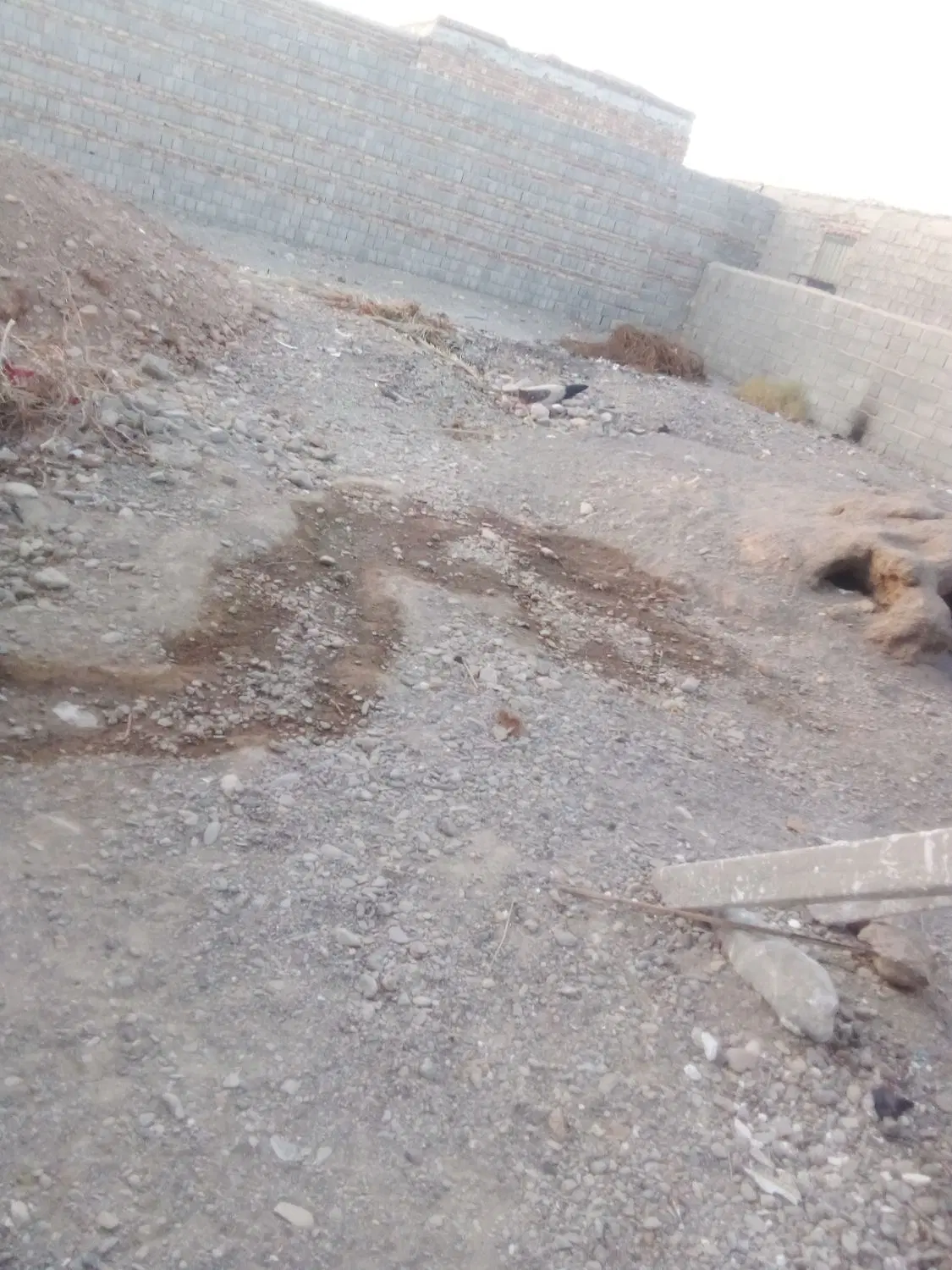 390متر زمین در محمدان