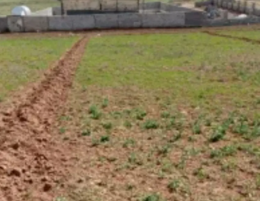 زمین در ملکشاهی