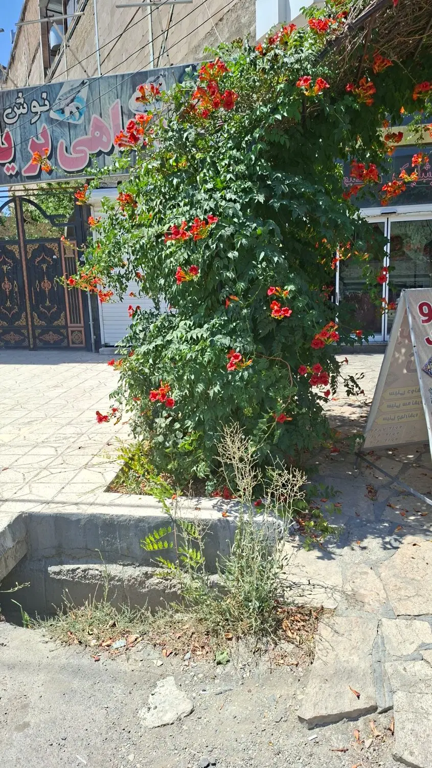 منزل‌ویلایی‌درچناران