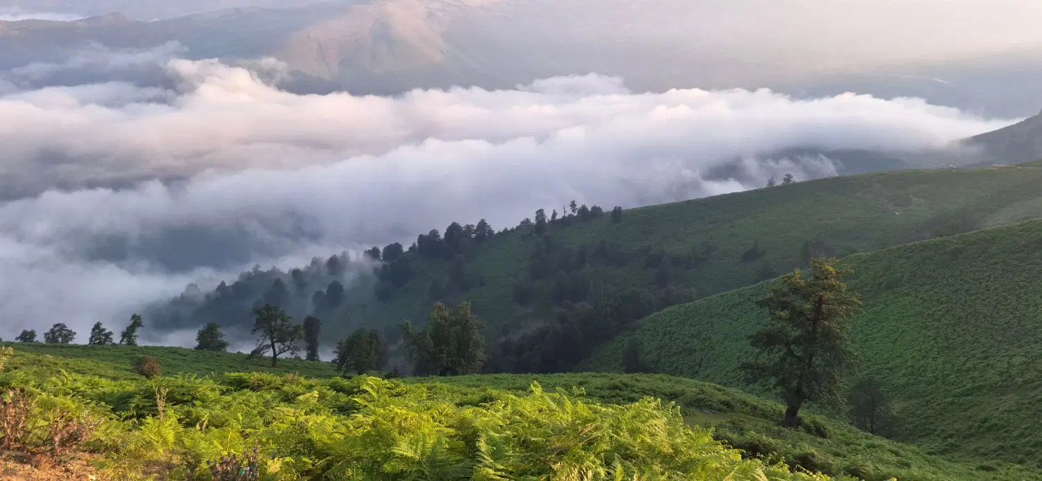 فروش ویلا در قلعه رودخان روستای فوشه