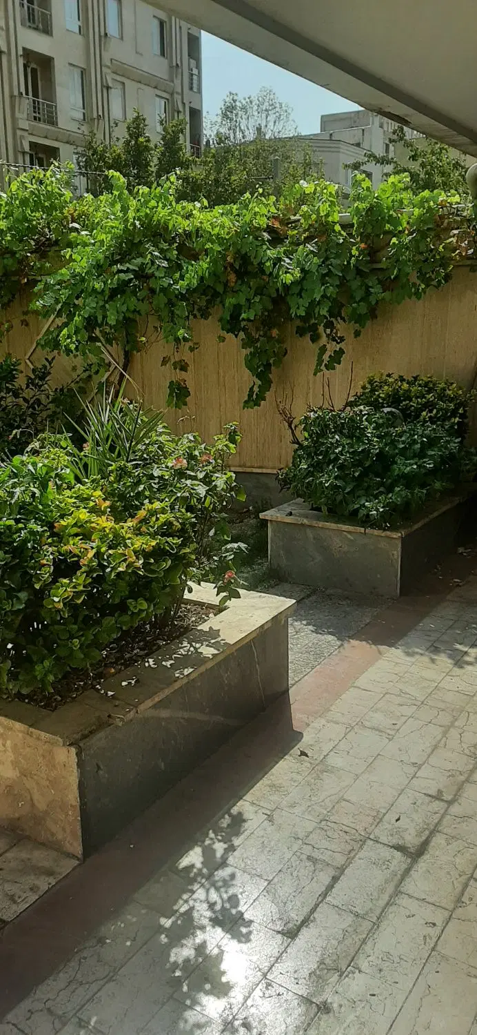 واحد ۸۰ متری