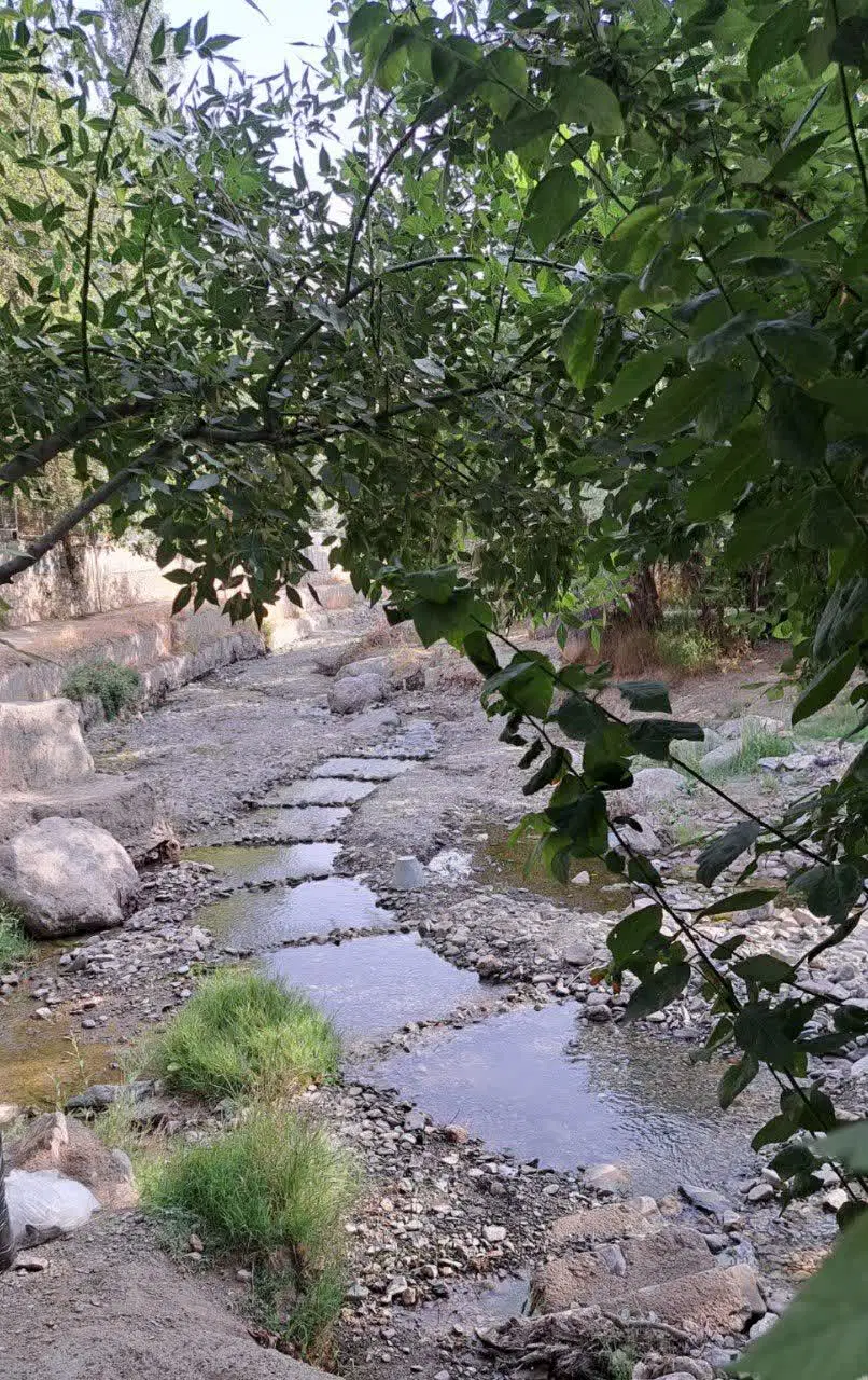 باغچه نقلی ۲۵۰ متری