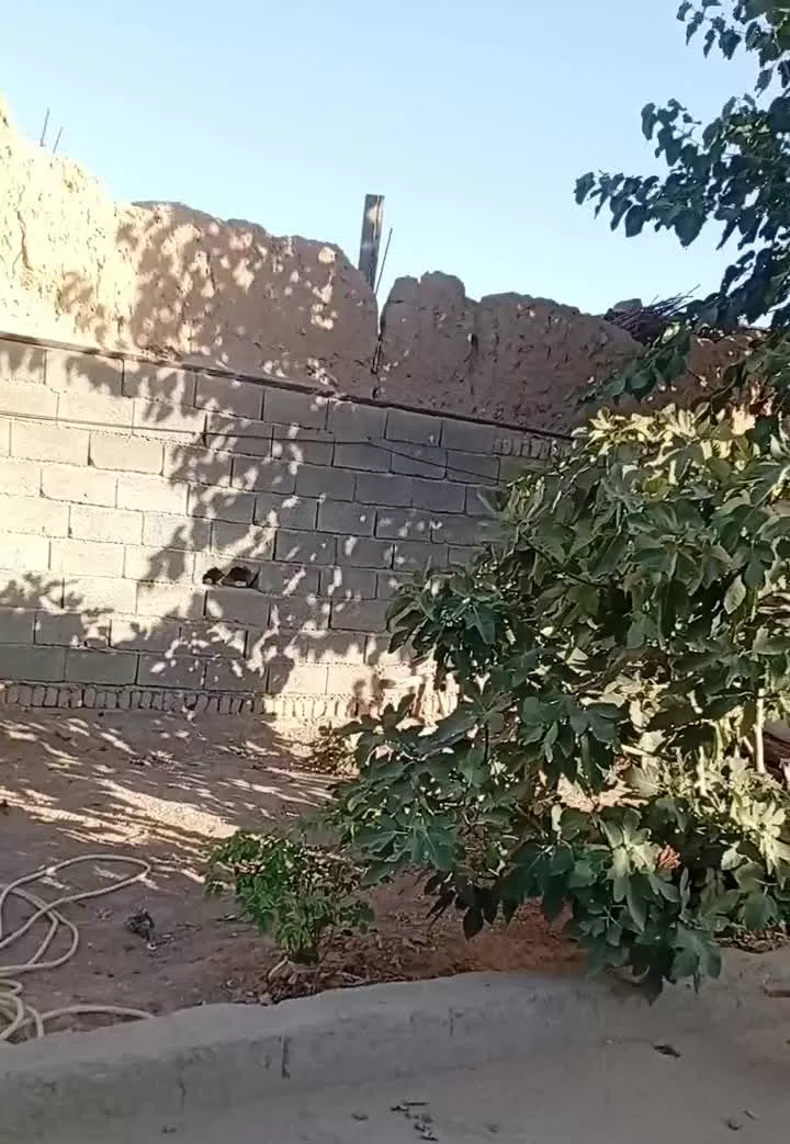 فروش خونه
