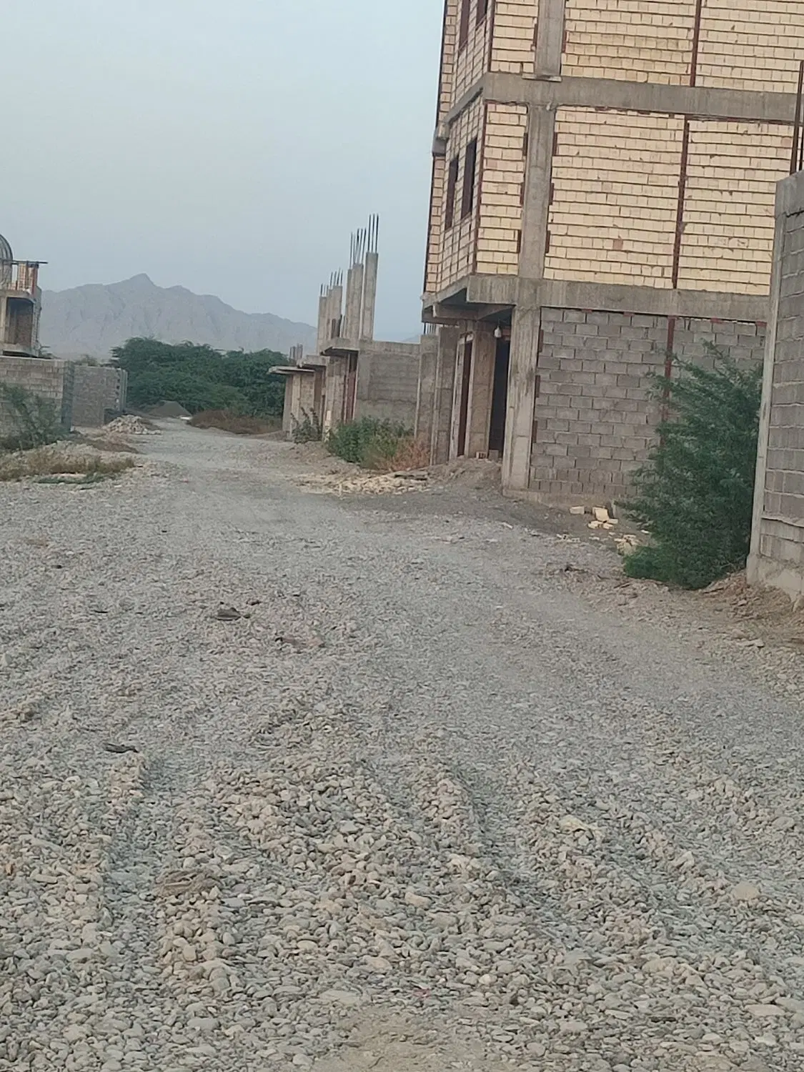 زمین حکیم نژاد