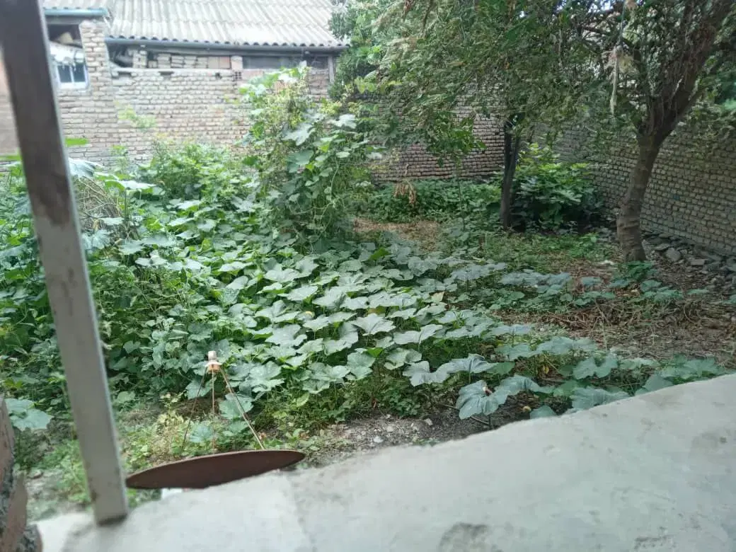 فروش خانه ویلایی دربندرگز