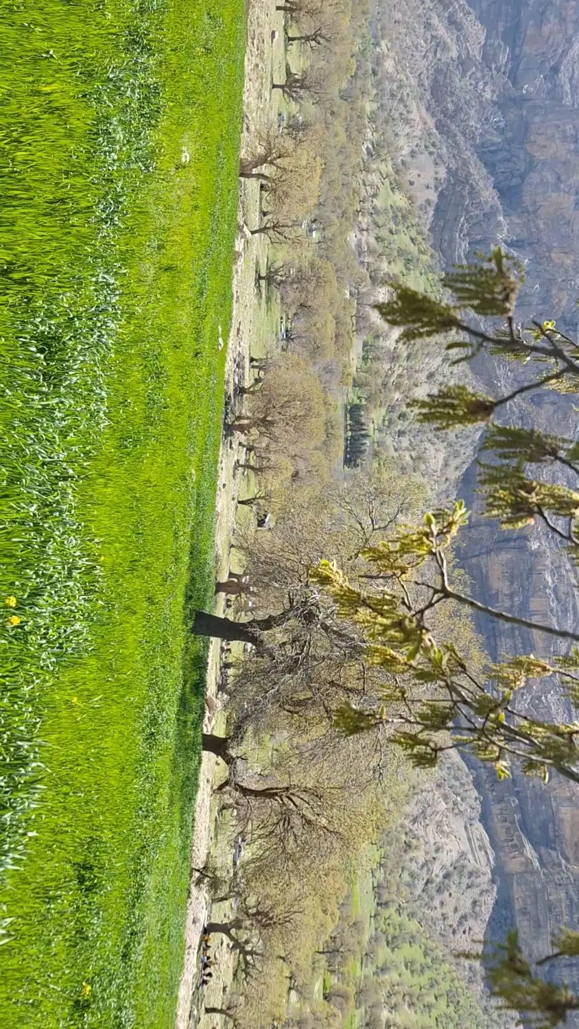 زمین ساختمانی