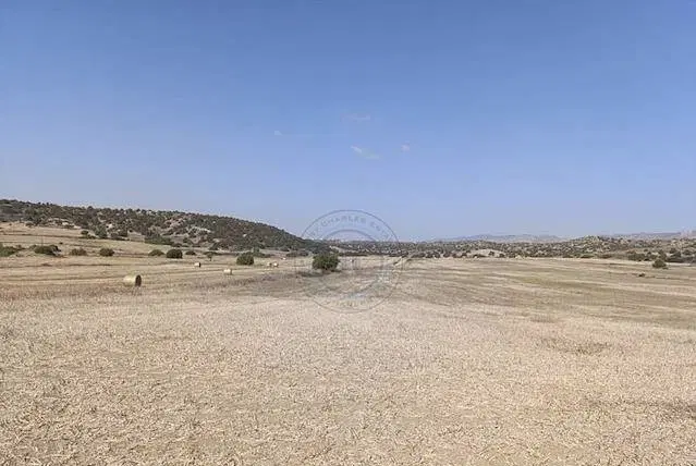 ۱۶۱ متر زمین علی آباد گونه