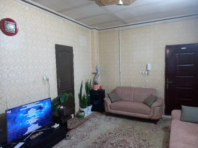 همخونه خانم موجه