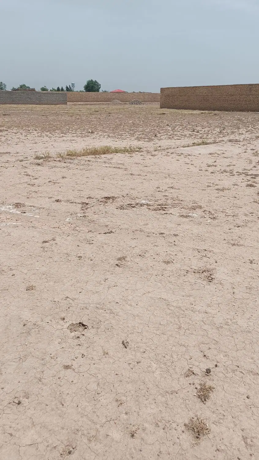زمین 630 در روستای حسین آباد رضی